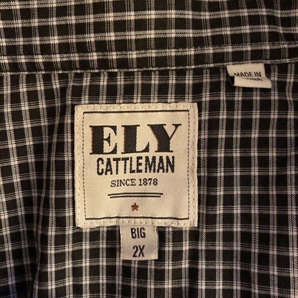 Ely Cattleman Size 2XB Multi-Color w/Checked Print Long Sleeve Pearl Snap Shirt - Picture 3 of 3